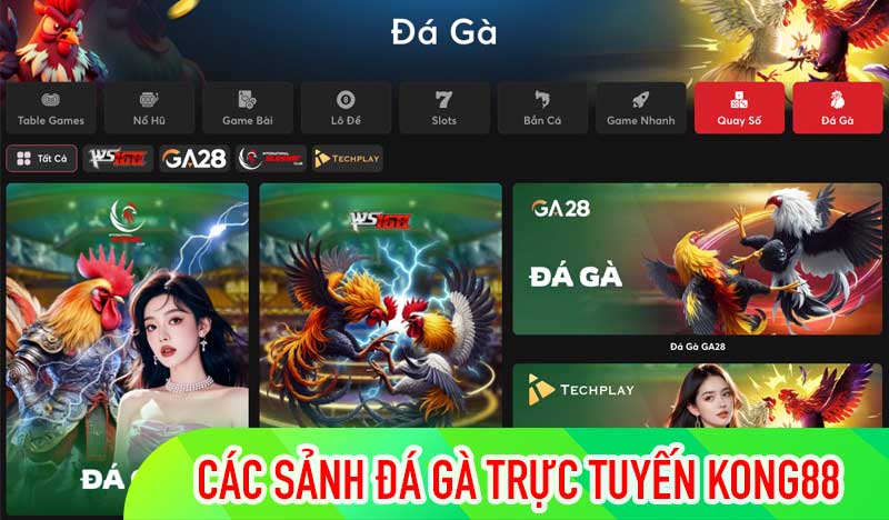 Các sảnh đá gà trực tuyến KONG88